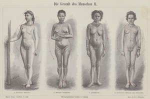 La figura humana de German School