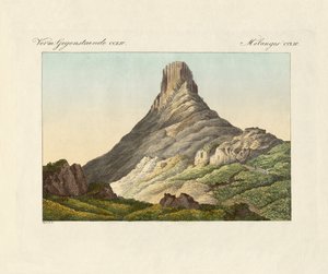 El skuir en la Isla del Huevo de German School