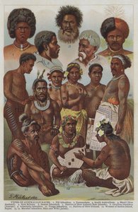 Tipos de razas australianas (litografía a color) de German School