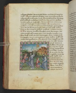 Ulrich von Pottenstein, El libro de la sabiduría natural, Egerton MS 1121 f.114v, c.1430 (tinta y color sobre pergamino) de German School
