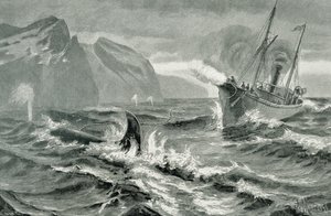 Usando un arpón desde un barco de vapor rápido de German School