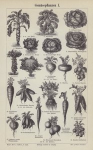 Verduras (grabado) de German School
