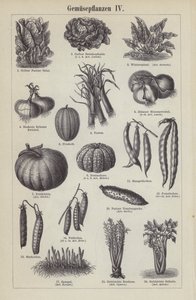 Verduras (grabado)