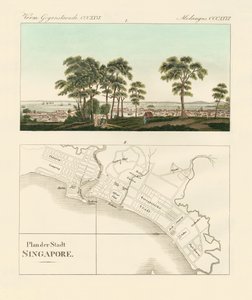 Vista y mapa del establecimiento de las Indias Orientales en Singapur de German School
