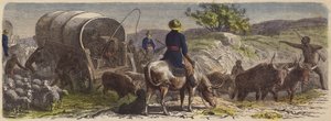 Caravana en Sudáfrica