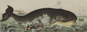 Caza de ballenas de German School