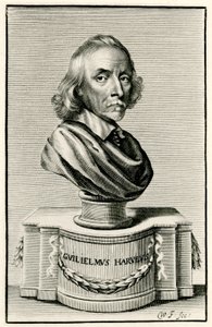 William Harvey de German School