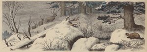 Paisaje de invierno en Canadá