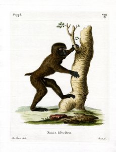 Babuino de Madera