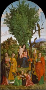 Madonna y Niño con Santos, c.1520