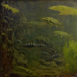 Lucio y perca en un acuario de Gerrit Willem Dijsselhof