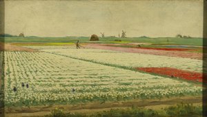Campos de tulipanes de Gerrit Willem Dijsselhof
