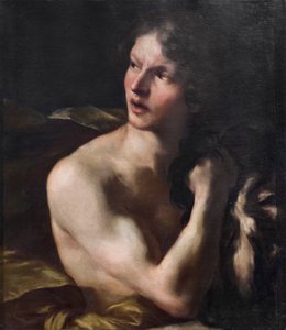 David de Gian Lorenzo Bernini