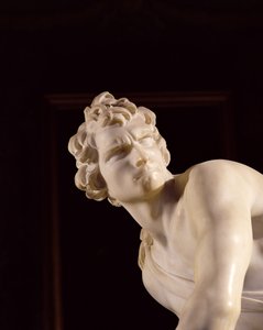 David de Gian Lorenzo Bernini