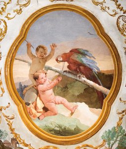 Putti con un Loro, de la Sala de Putti en la Foresteria (Casa de Huéspedes), 1757