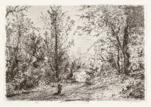 Bosque en Lago Maggiore de Giberto Borromeo
