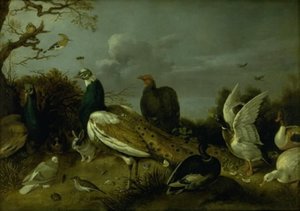 Pavos Reales, Patos y otros Animales de Gijsbert Gillisz. de Hondecoeter