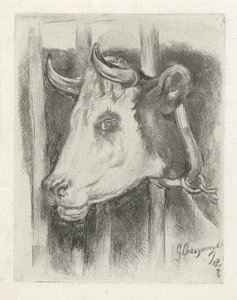 cabeza de vaca de Gijsbertus Craeyvanger