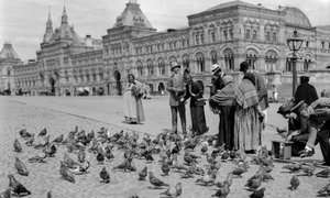 Alimentando palomas en la Plaza Roja, las filas superiores de comercio como telón de fondo. Las filas comerciales superiores... de Gilbert H. Grosvenor