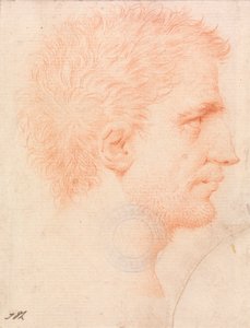 Cabeza de hombre con barba incipiente, mirando a la derecha de Giles Hussey