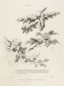 Estudio de tres ramas con hojas. 1er Cahier de paysage (título de la serie) de Gilles Demarteau