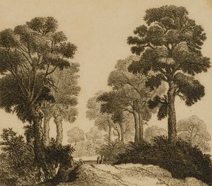 Paisaje