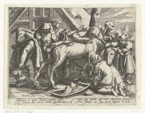 lavando el burro de Gillis van Breen