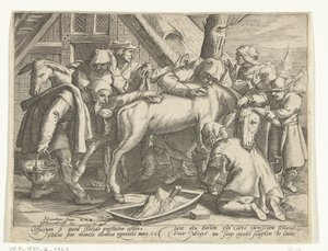 lavando el burro de Gillis van Breen