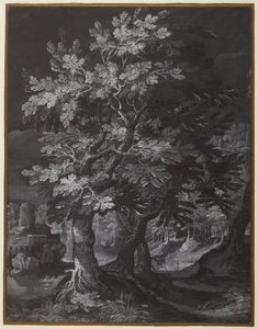 Escena del bosque