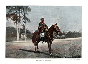 Pastor de ganado, Río Grande del Sur, Brasil de Gillot