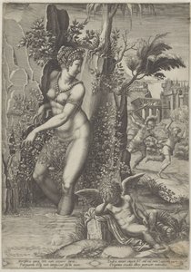 venus y la rosa de Giorgio Ghisi