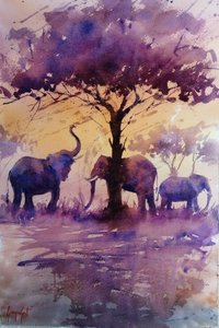 Elefantes africanos: atardecer púrpura de Giorgio Gosti