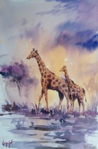 Jirafas al atardecer en África