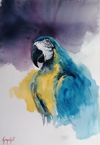 Guacamayo azul y amarillo de Giorgio Gosti