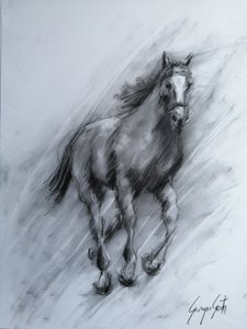 Caballo de carbón dinámico de Giorgio Gosti