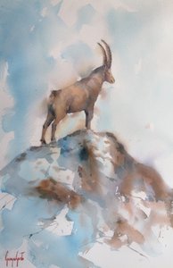La majestuosa cabra montés alpina