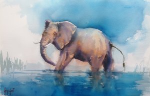 Un majestuoso elefante vadeando