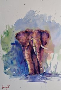 Majestuoso elefante en acuarela de Giorgio Gosti