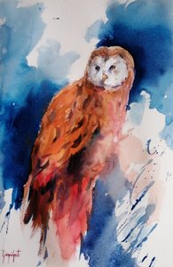 Majestuoso búho en acuarela de Giorgio Gosti
