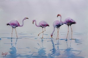 Flamencos rosados vadeando de Giorgio Gosti
