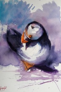 Retrato de un frailecillo púrpura de Giorgio Gosti
