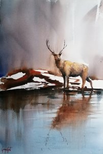 Ciervo en invierno de Giorgio Gosti