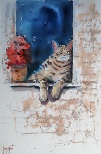 Un gato relajado en el alféizar de la ventana de Giorgio Gosti