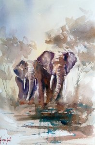 Reflexiones sobre los elefantes en el safari de Giorgio Gosti