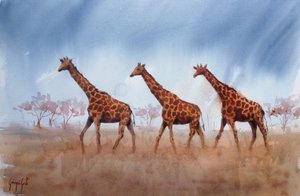 Trío de jirafas Safari
