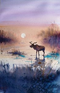 Reflejo de un alce al atardecer de Giorgio Gosti