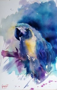 Guacamayo azul brillante de Giorgio Gosti