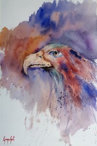 Retrato de un águila lleno de vida de Giorgio Gosti