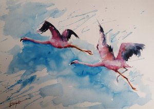 El vibrante vuelo de los flamencos de Giorgio Gosti