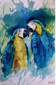 Compañeros de guacamayos de colores vivos de Giorgio Gosti
